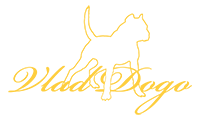 Vladdogo